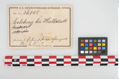 Etikett zu Eisenschwertgriff (NHMW-PRAE-026805)